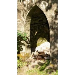 3D Bisamrotte -Svaerd Salg 3d bisamrotte 4