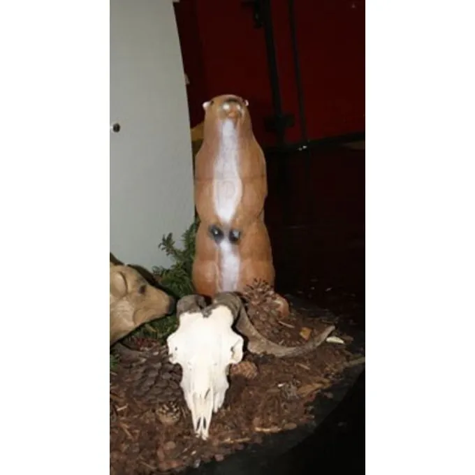 3D Stående Murmeldyr 4 3D Stående Murmeldyr - Billede 2