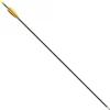 Glasfiber Arrow 30" (76 Cm) 1 Glasfiber Arrow 30" (76 Cm) -Svaerd Salg glasfiber arrow 30 76 cm