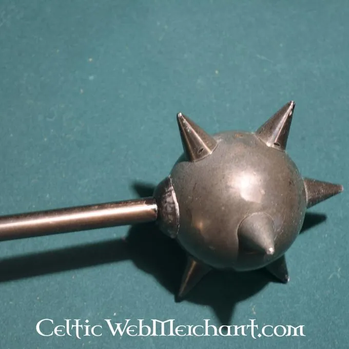 Korte Morgenstjerne 4 Korte Morgenstjerne - Billede 2