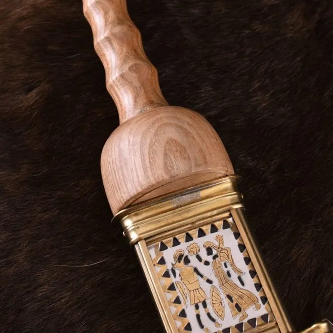 Deepeeka Valkhof Gladiatorerne Pompeji 6 Deepeeka Valkhof Gladiatorerne Pompeji - Billede 4